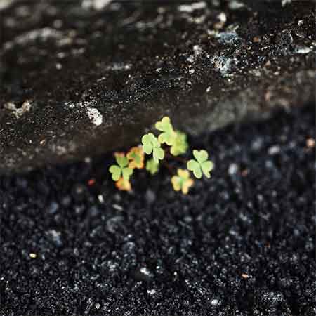 دانلود آهنگ داداشی ۲ علی نصیری